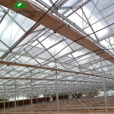 China Inflatable Plant Growth Gazebo Greenhouse Film For Sale Philippines for sale