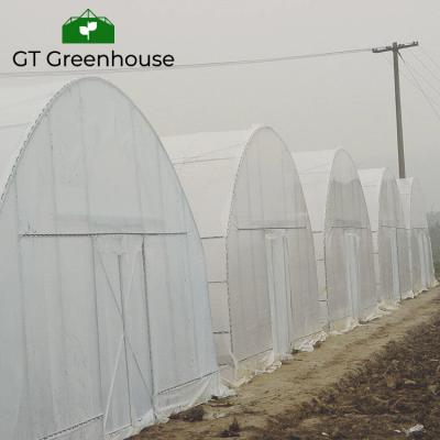 China Stable Structure Easily Assembled Poly Tunnel Plastic Shed Greenhouse Plastic Tunnel Greenhouse for sale