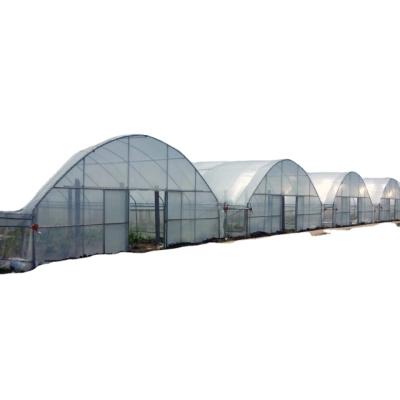 China Stable Structure Easily Assembled Hot Sale Greenhouse Plastic Sheet Tunnel Greenhouse Agricultural Snail Breeding for sale