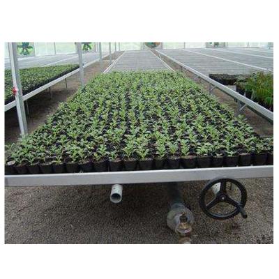 China Movable Movable Sliding Racks Table Plastic Greenhouse Bench Tops for sale