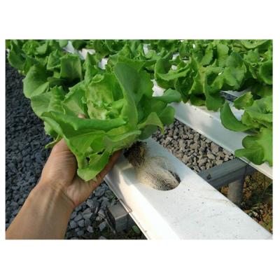 China Stable structure plant pot system green house hydroponic system for sale