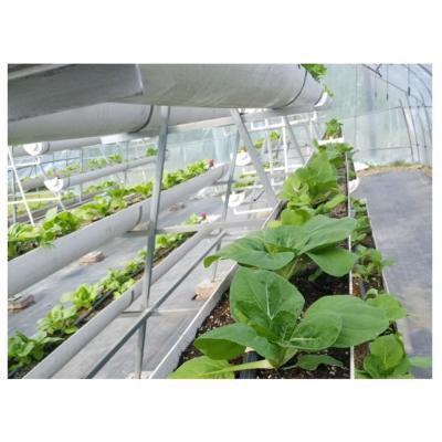 China Stable Structure Planting System Greenhouses Hydroponic Cabbage Net Structure Pots for sale