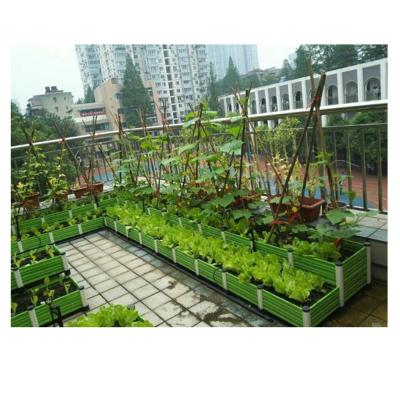 China Stable Structure Garden Container Growing Industrial Hydroponic System for sale