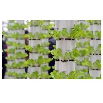 China Stable Structure Tube Farm Container Hydroponic Bean Sprouts Growing System for sale