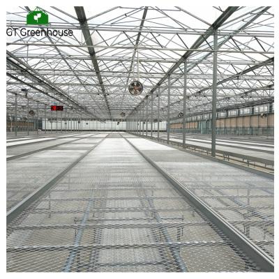 China 5500m3/H Steel Inside Air Flow Fan For Greenhouse for sale