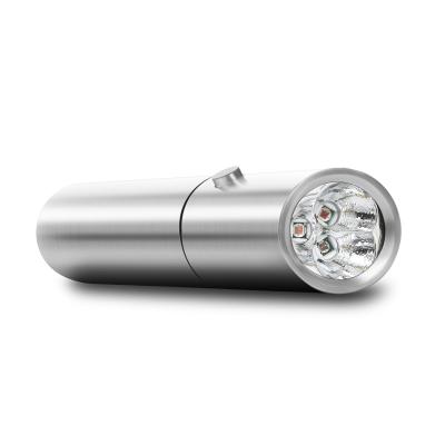 China Portable 850nm Red Light Therapy Torch 660nm 630nm LED Light Therapy Pen for sale