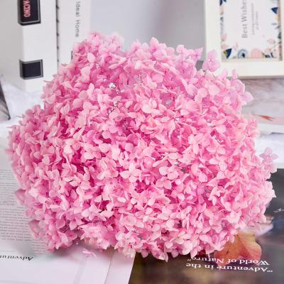 China Durable and natural touch and big size Yunnan Zui Fangxin artificial hydrangea flower large natural preserved hydrangea for home decoration for sale