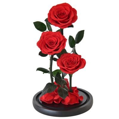 China Natural Fresh Rose Three Pieces Preserved Roses In Boxes With Dome 50 Colors Can Be Offered Little Prince Flowers for sale