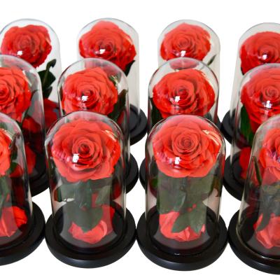 China Fashional 2020 Valentine Gifts High Quality Popular Eternal Rose Preserved Flower in Glass Rosa Eterna for sale