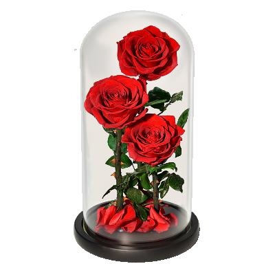 China Hotel Decoration Home Gift Real Rose Glass Natural Preserved Roses Preserved In Long Lasting Glass Glass Eternal Rose for sale