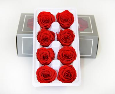 China Fashional Yunnan Wholesale Valentines Day Preserved Red Rose Head 4-5cm Rose Flower Preserved Roses For Gifts for sale