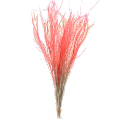 China Fashional Decoration Flowers Hot Sale Natural Feathery Stem Wedding Natural Dry Flowers For Sale for sale