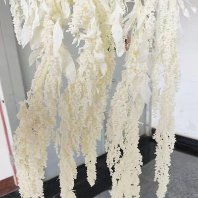 China 2020 new product from Fashional Amazon wedding artificial preserved flowers decorative flowers pendant amarantus for sale