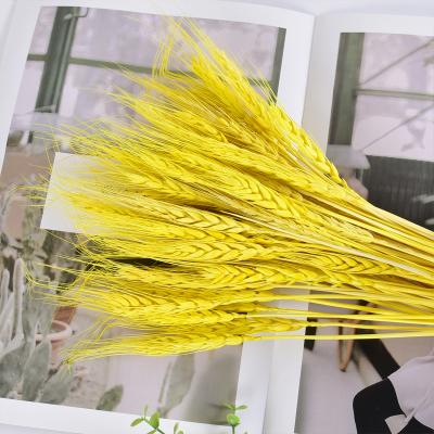 China 2020 Statistical Institute of Fashional Artificial Flowers Most Hot Grass Preserved Natural Dry Wheat for Wedding Decoration for sale