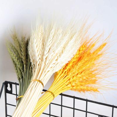 China Fashional Artificial Flowers Wheat Stems Wheat Grass Flower Dry Decorative Golden Bunch For Decors for sale