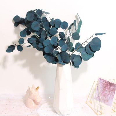 China Fashional Yunnan Wholesale Dried Eucalyptus Stems Leaves Preserved Eucalyptus for Office Home Decoration for sale