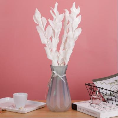 China Fashional Flower Arrangemnents Preserved Platycodon Foliage Plant Orange Leaves Everlasting Ruscus For Decoration for sale