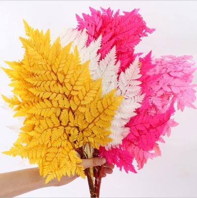 China Hot Selling Fashional Amazon Flower Bouquet Dried Preserved Artificial Alpine Scenery Fern Leaf Dried Flower For for sale