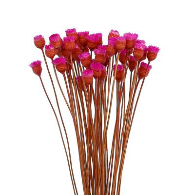 China Fashional Yunan Hot Selling Flower Arrangement Dried Flower Blossom Happy Bouquet For Decoration for sale