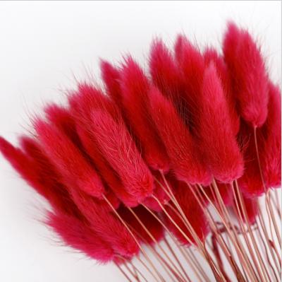 China Best Selling Durable Dry Lagurus Rabbit Tail Grass Flower Bunch Artificial Flower Bunch For Home Decorations for sale