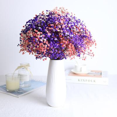 China 2020 Most Real Popular Wholesale Gypsophila Dried Flower Long Lasting Preserved Babysbreathe For Wedding Decorations for sale