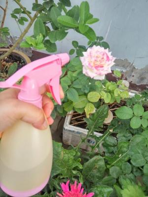 China TS001 500ML plstic sprayer/garden/water/pressure/handle/agriculture/trigger for sale