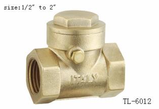 China TL-6012 check valve 1/2