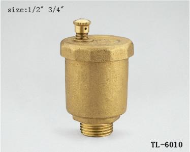 China TL-6010 check valve 1/2