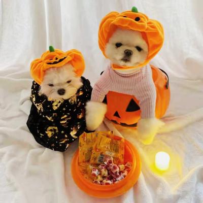 China Sustainable Pet Christmas Supplies Halloween Pumpkin Cat Dog Hat Clothes Halloween Decorations For Pet for sale