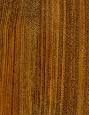 China Black Walnut Melamine Moisture Proof MDF for sale