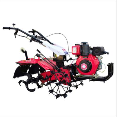 China Multifunctional Hotels Agriculture Walk-Behind Walking Tractor Two Wheels Double Plow For Walking Tractors for sale