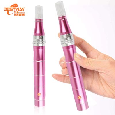 China Anti-Blister Needle Cartridges Wireless Micro Needler Wired Scar Removal Derma Pen for sale