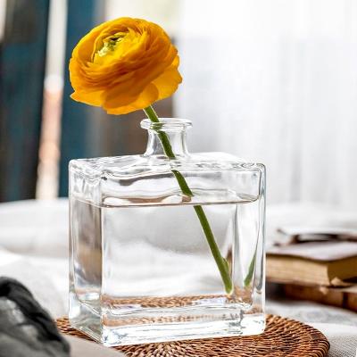 China Gift & Transparent Craft Vases Living Room Small Dried Flowers INS Nordic Style Accessories Thick Glass Flower Vases for sale