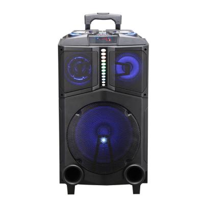 China LINGE Wireless System Professional Outdoor Karaoke Speaker Mega Bass Party Speaker 12' Woofer 12' x1 60W With Trolley for sale