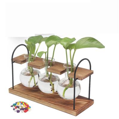 China Retro Wooden Frame CLASSIC Hydroponic Planter Flower Direct Selling Factory Air Plant Desktop Decoration for sale