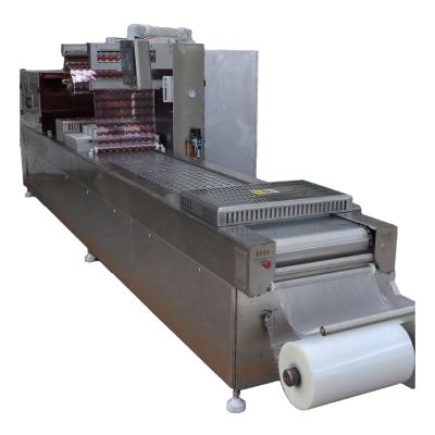 China Hotels Stretch Film Food Sealer China Hot Sale External Sealing Vacuum Packing Machine for sale