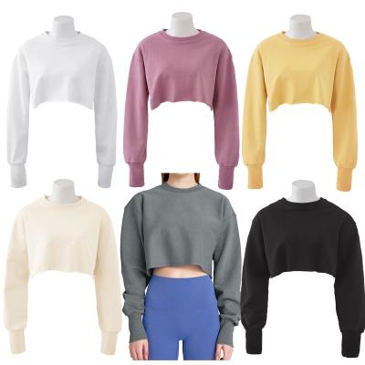 China Autumn Long Sleeve Hoodies Pullover Lady Crewneck Crop White Logo White Top Hoodie Women Simple Casual Crop Top Anti-shrink Sweatshirt Custom Made for sale