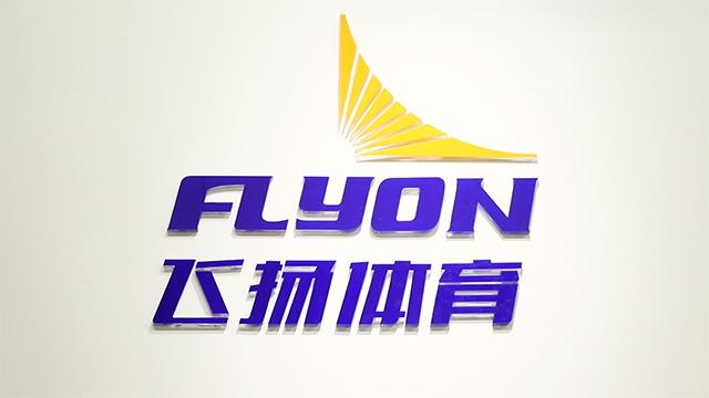 Verified China supplier - Shenzhen Flyon Sports Equipment Co., Ltd.