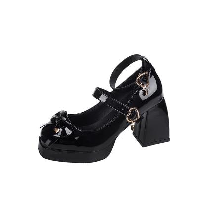 China Fashion Trend Black Chunky Platform Shoes Sandals 2022 Spring Summer Square Toe Buckle Strap Chunky Heel Shoes Retro for sale