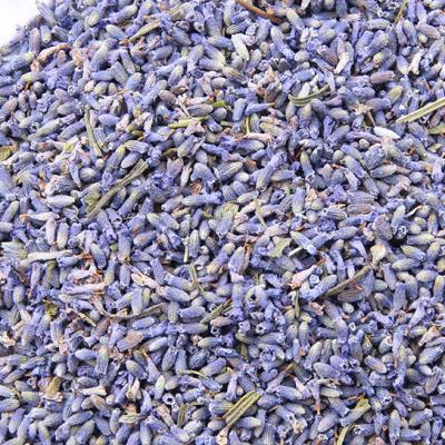 China 100% natural lavender dried lavender tea artificial lavender flowers tea for sale