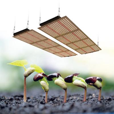 China Seed Starting Maaadro Novedades Fotops V3 800 Panel 2021 Samsung Lm301H Meiju Grow Led Lm301H 600W STREAMER Led Growing Light for sale