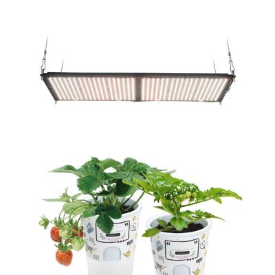 China Seed starting maaadro novedades 2020 full xrf led grow lights 240w 301h, aquaponics systems samsung lm301b growing meijiu for sale