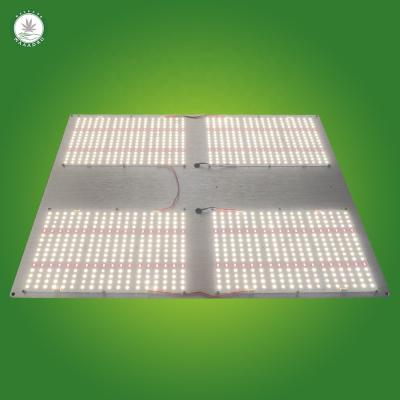 China Seed Starting Commercial Maaadro Panel LED Grow Lights Led Grow Light Greenhouse For Indoor Plants Growing for sale