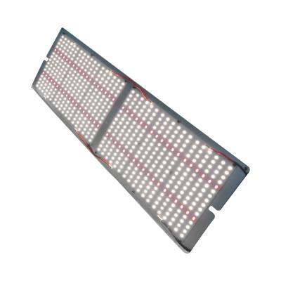 China Seed Starting Maaadro Lm301h Hot Sale Cheap Professional Lm301b 5088 Grow Light UV For Flower for sale