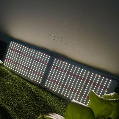 China Seed Starting Mix Pre-assembled V2 V3 240W Samsung Im301B Red UV Red Top Bin IR 660Nm Led Grow Lamp Light Panel for sale