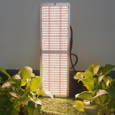 China Seed Starting Growlight Lm301H Samsung Indoor Hydroponic DiodeUV Maaadro 240w Full Dimmable COB LED Grow Lights for sale