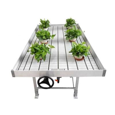 China Stable Structure Easily Assembled Customizable Maaadro Greenhouse Tidal Seedling For Plant Vegetable for sale