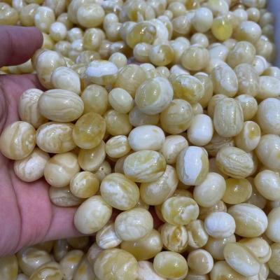 China DIY Jewelry Making 8-16+mm High Quality Gold White Jujube Amber Beads Natural Baltic Amber Beads Factory Price And Muslim Prayer Beads for sale