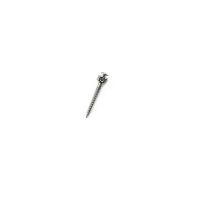 China Dental Ni-Ti Micro Niti Implant Orthodontic Micro Screw Dental Implant Ortho Titanium Screw for sale