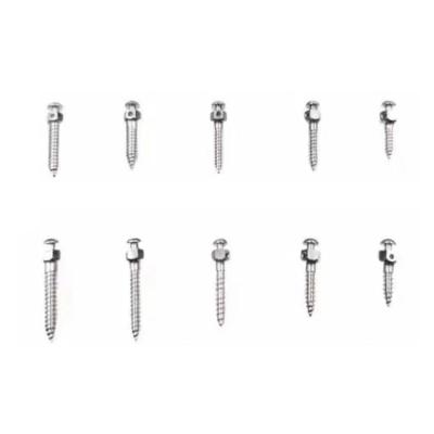 China Manufacturer of Ni-Ti Wholesale Dental Orthodontic Mini Screw Implant with Screwdriver for sale